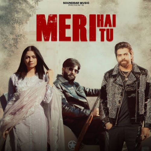 Meri Hai Tu DJ Remix Poster