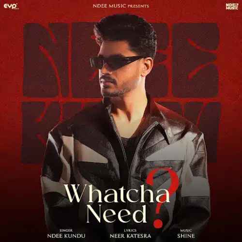 Whatcha Need Poster